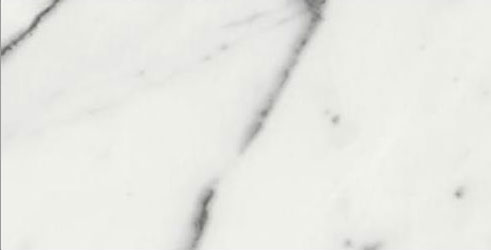 Carrara Statuario